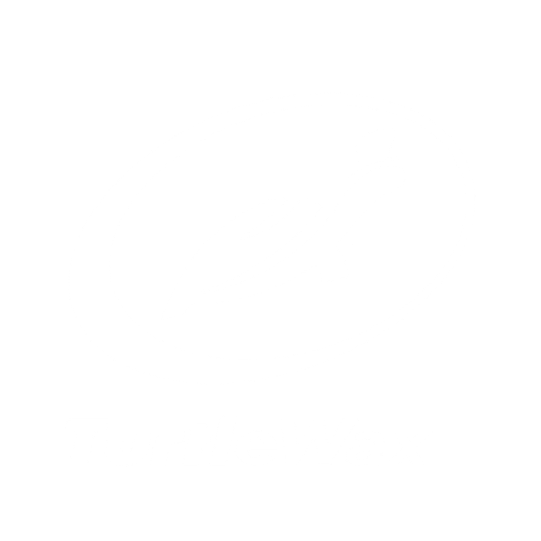 turtle wax